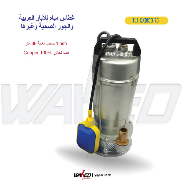 Well Water Pump - 1 inch