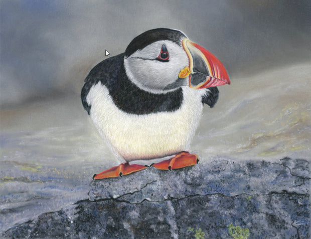 'Puffin 1'