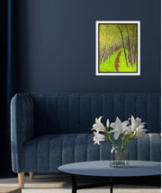 Woodland Walk - Original