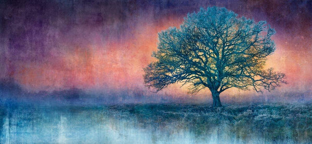 133 - Dawn Breaking - N50.9732 W0.3453 Panoramic