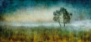 056 - N51.0369 E0.0722 Panoramic - Limited Edition