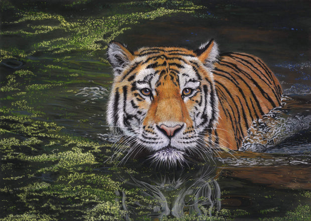 ‘Cooling Down’