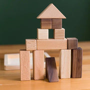 Wooden Puzzle Blocks